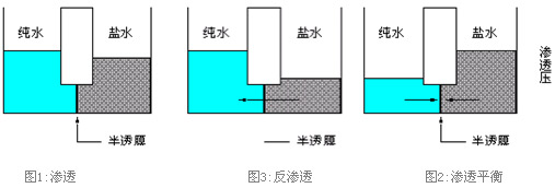 RO反渗透膜的工作原理